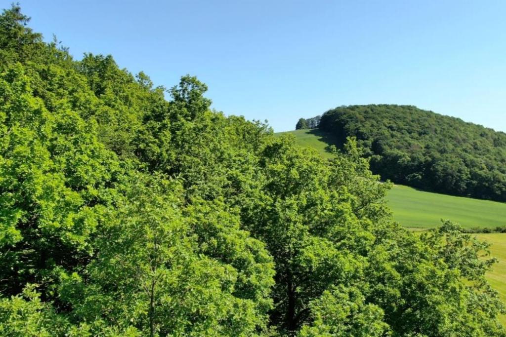 HeringhausenSonnenweg 46 - Carla公寓 外观 照片